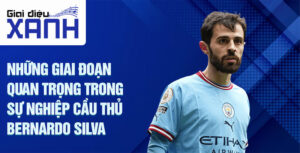 Những giai đoạn quan trọng trong sự nghiệp cầu thủ Bernardo Silva