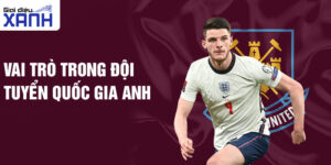 Vai trò trong đội tuyển quốc gia Anh