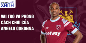 Vai trò và phong cách chơi của Angelo Ogbonna
