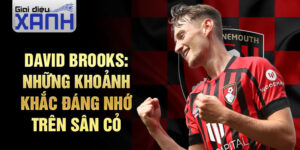 David Brooks: Những khoảnh khắc đáng nhớ trên sân cỏ