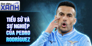 Tiểu sử và sự nghiệp của pedro rodríguez